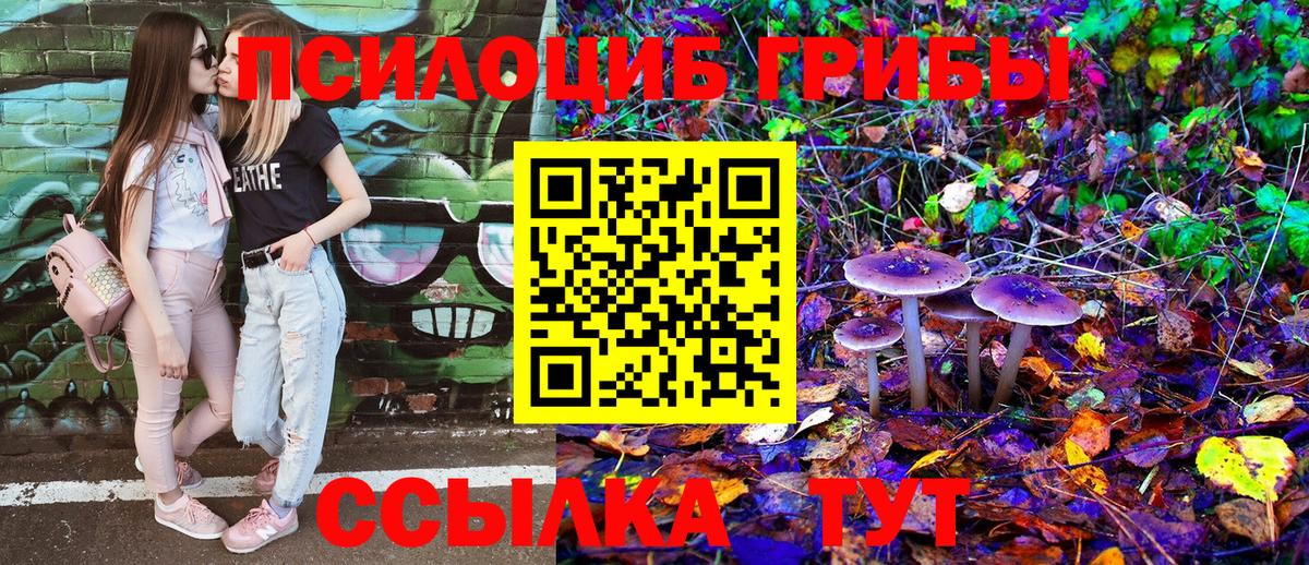 Псилоцибиновые грибы мухоморы Сокол
